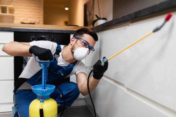 Best Pest Removal Services  in Westwood, CA