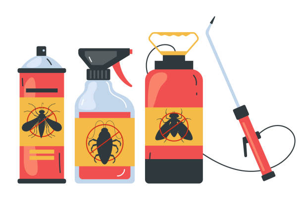 Best Spider Control Near Me  in Westwood, CA